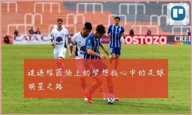 追逐绿茵场上的梦想我心中的足球明星之路
