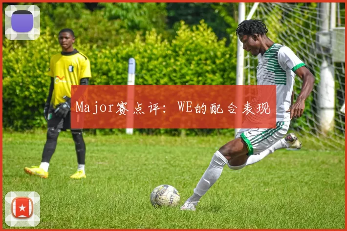Major赛点评：WE的配合表现