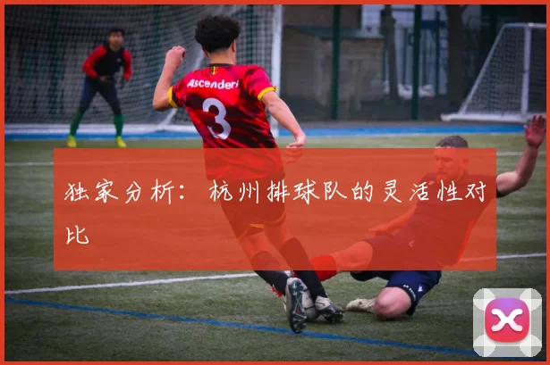 独家分析：杭州排球队的灵活性对比